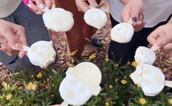 2019最新久久久视频免费